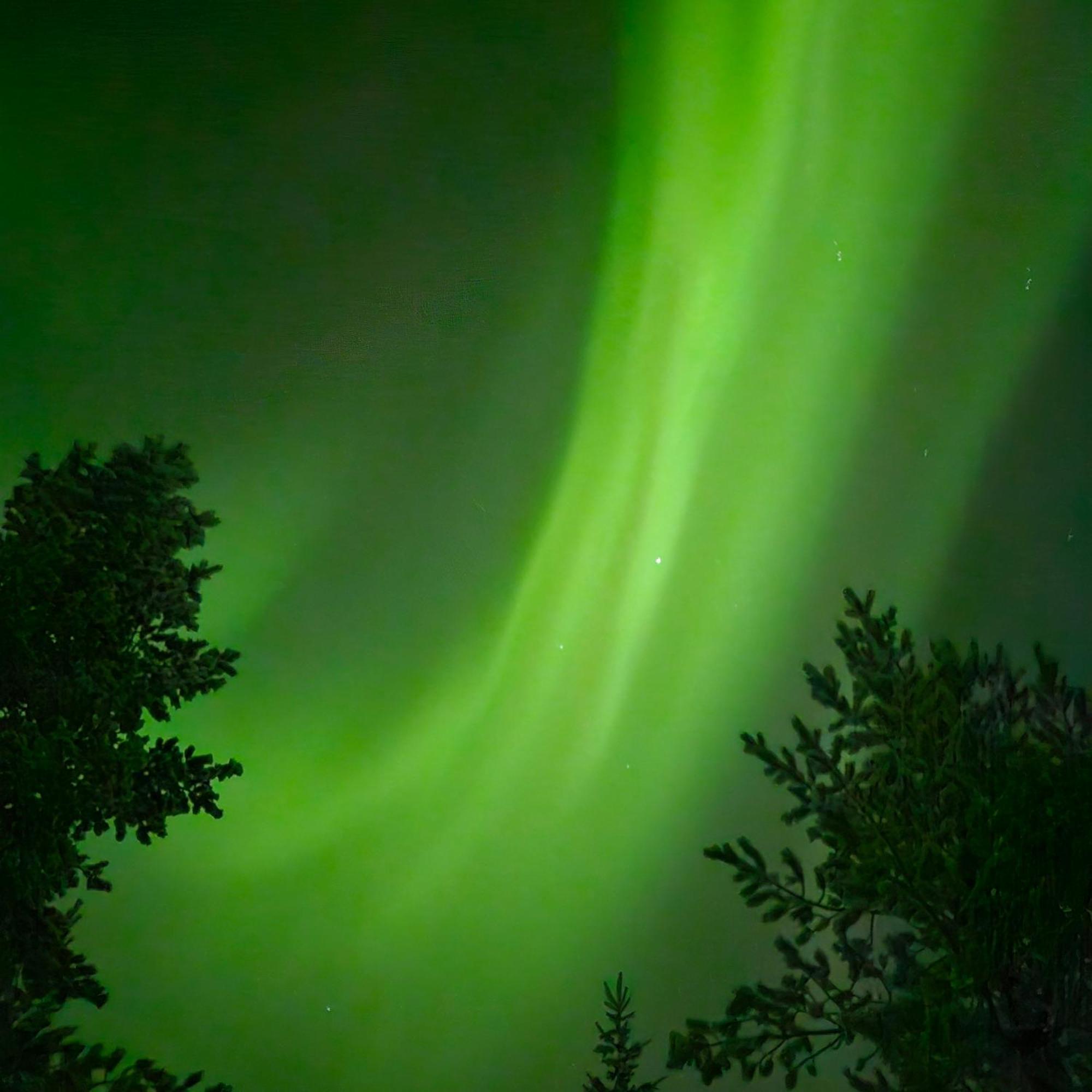 Chalet Norva Rovaniemi Dış mekan fotoğraf