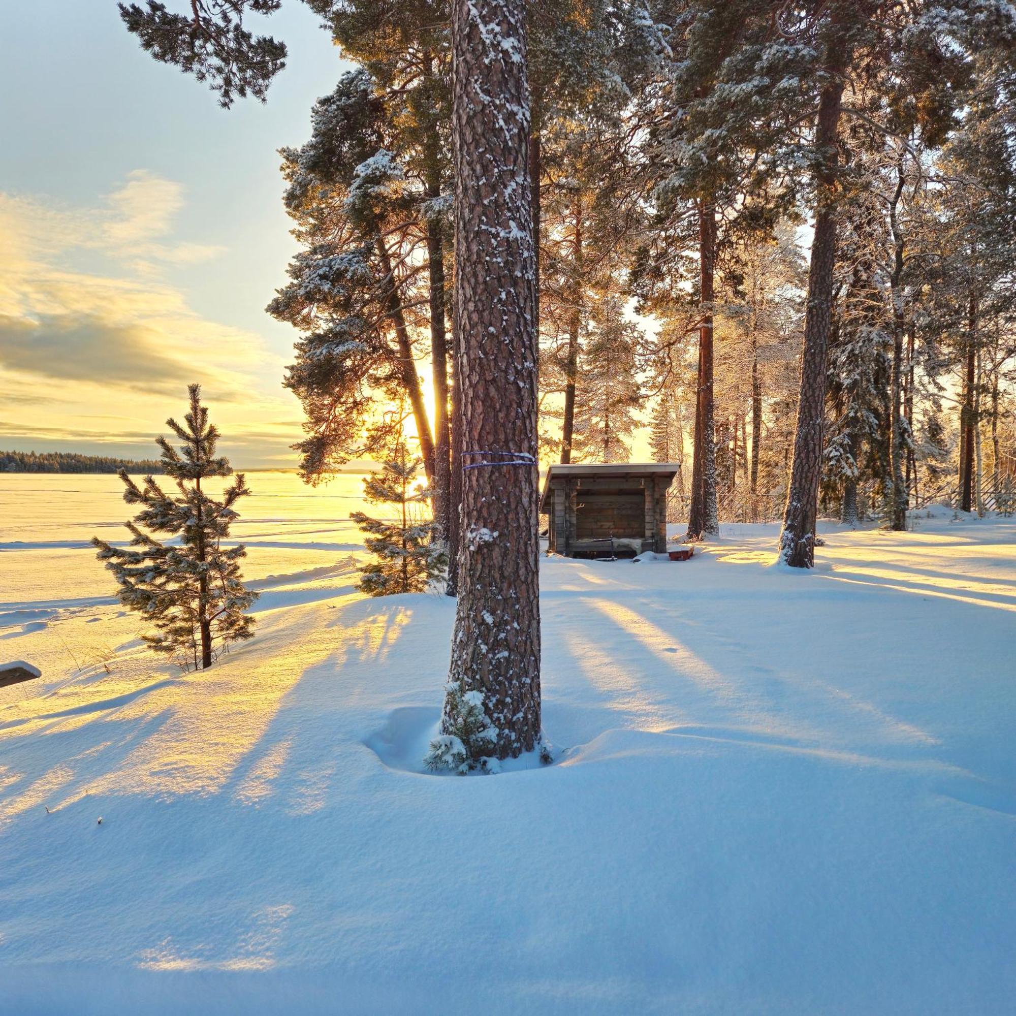 Chalet Norva Rovaniemi Dış mekan fotoğraf